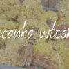 Szampon z wyciągiem z kocanki włoskiej 100ml - obrazek 4